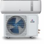 نمایندگی ایوولی در بندر عباس